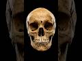A Real Vampire Burial in Poland