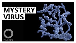 Mysterious Viral Pneumonia Infects Dozens In China  Tomonews