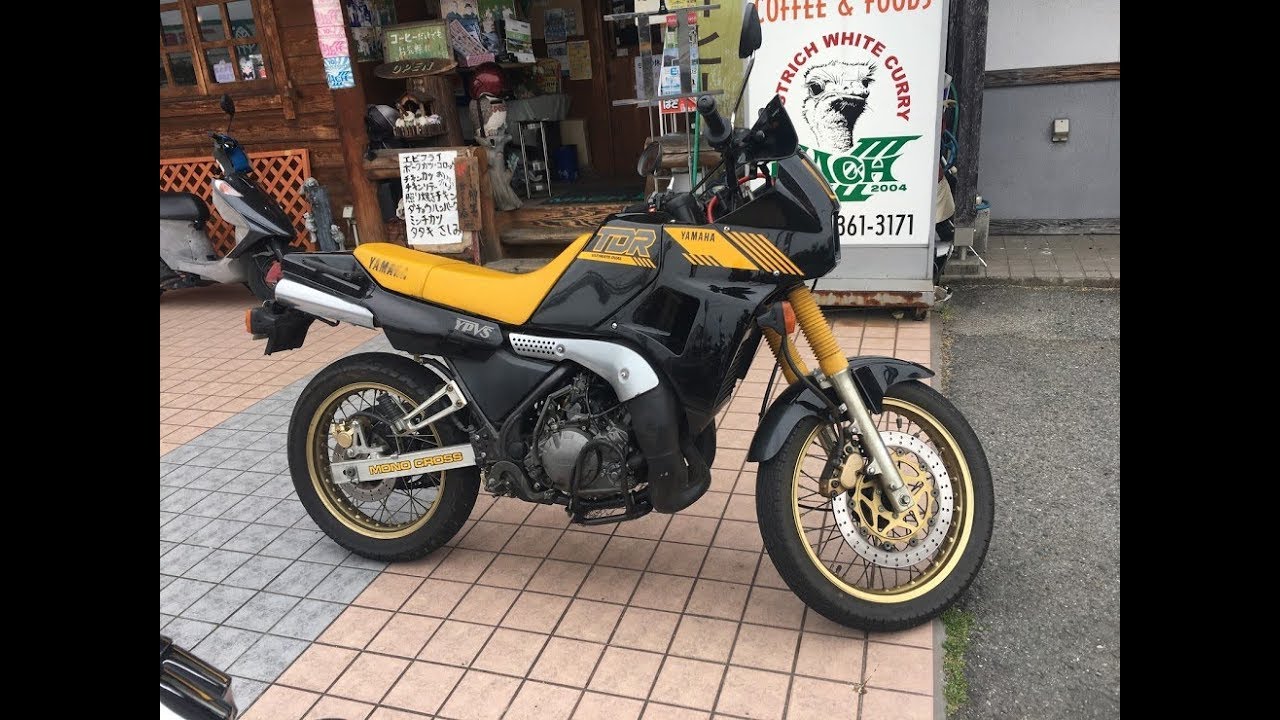 2ストの本領発揮 YAMAHA TDR250 ヤマハ・TDR250 2YK 広島県 1KT