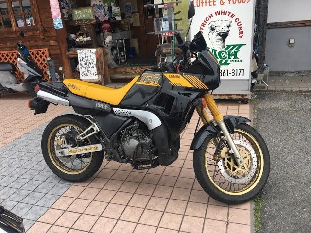 TDR250 2YK 1KT 走行距離5000キロ以下 TDR250 2YK 1KT 走行距離5000キロ以下 【公式通販】