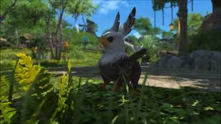 Nyaus Farm Hd