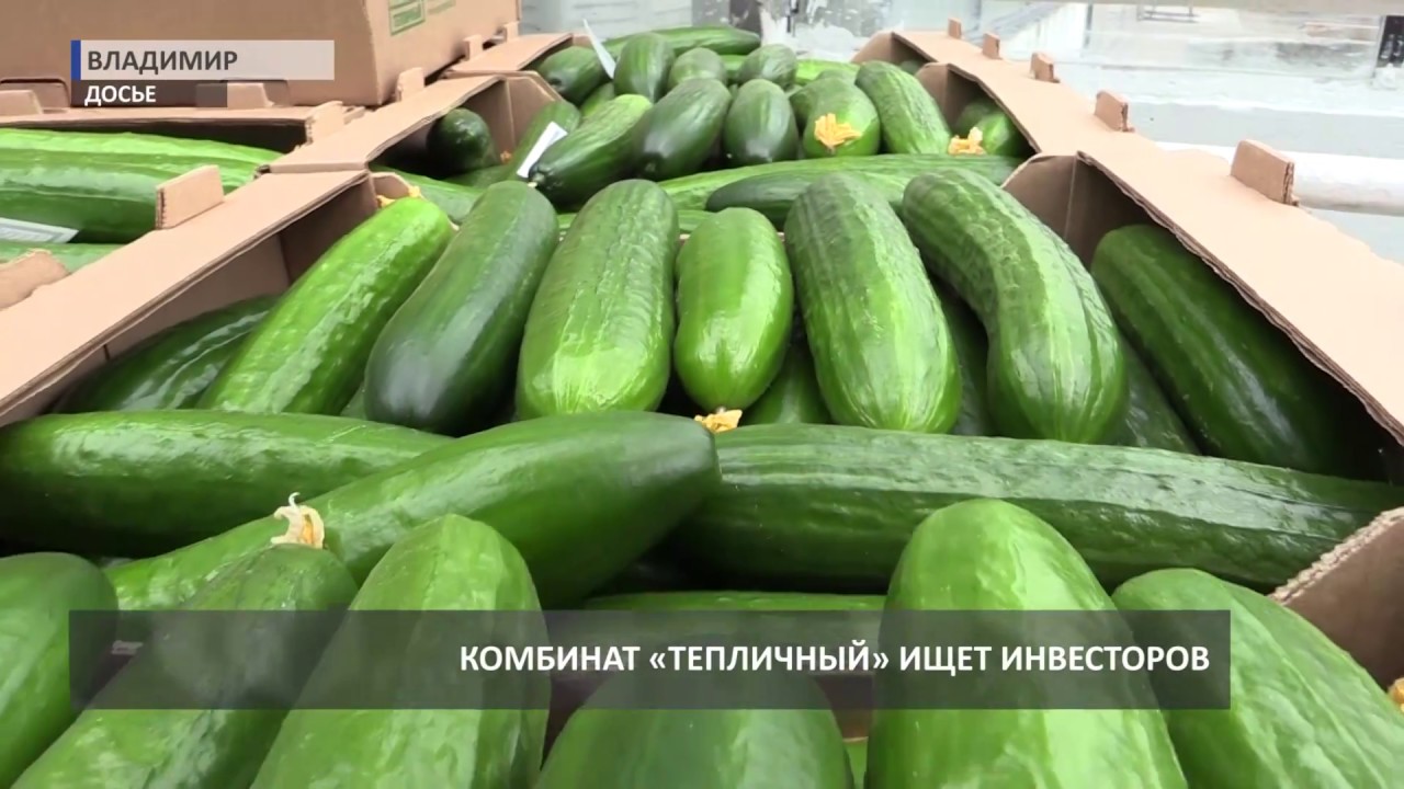 Магазин Тепличный Во Владимире Часы Магазин Тепличный Во Владимире Часы
