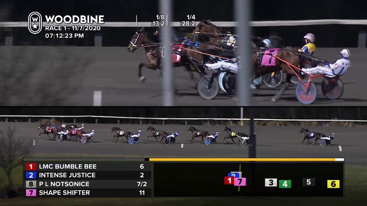 Woodbine, Mohawk Park, November 7, 2020 Race 1 - YouTube