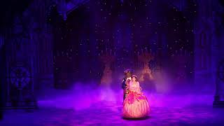 IRIS - BEAUTY AND THE BEAST DEMONTFORT HALL