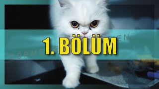 Görmemeniz Gerekenler - Vakit Öldürmelik Seri - B1