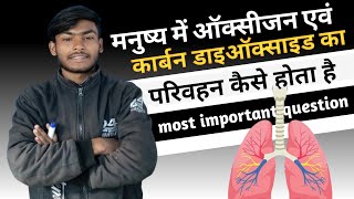 मनुष्य में ऑक्सीजन एवं कार्बन डाइऑक्साइड का परिवहन कैसे होता है ।। by kundan yadav sir