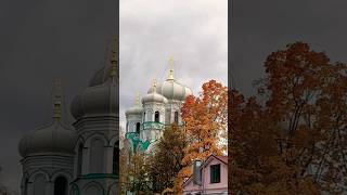 Соборная улица #гатчина #ленобласть