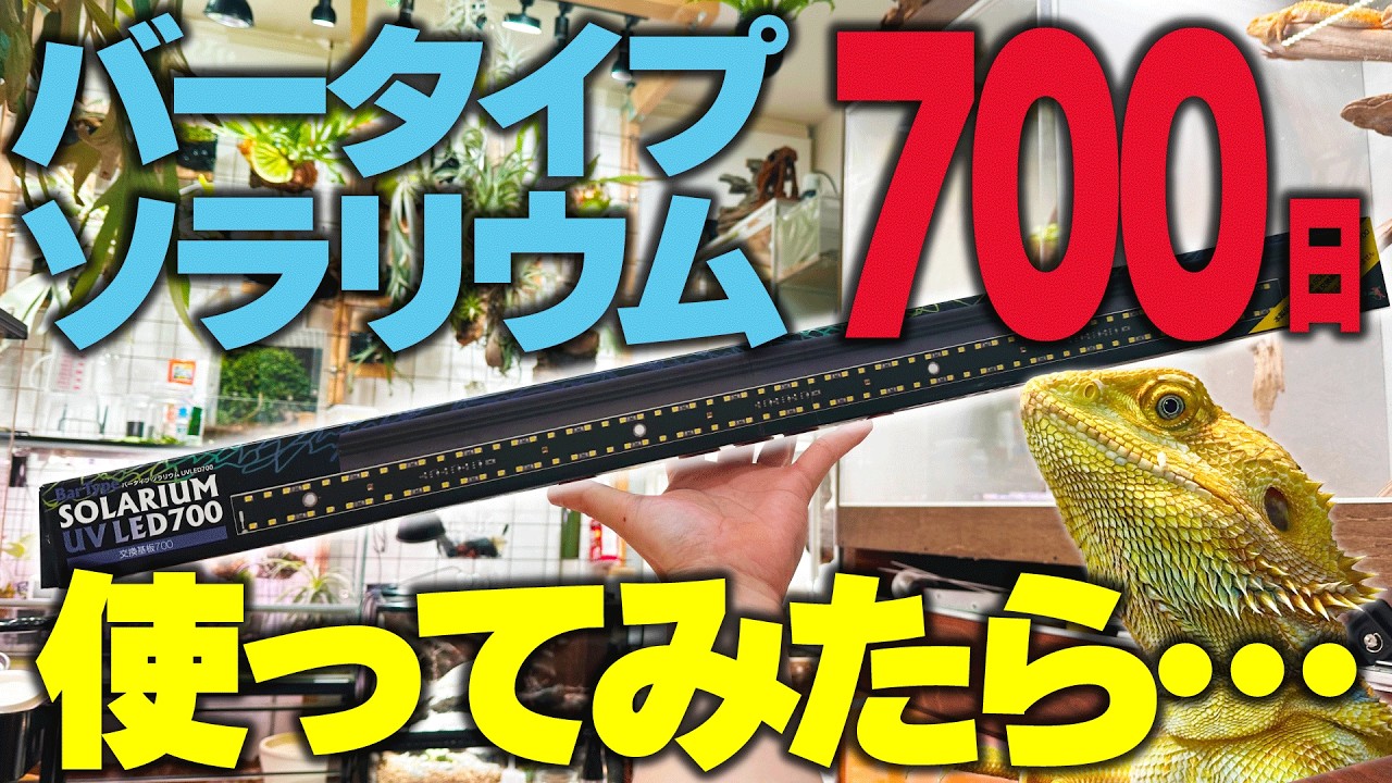 The ultimate reptile light! Pros and cons of the Bar Type Solarium