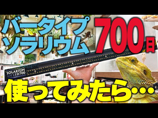 The ultimate reptile light! Pros and cons of the Bar Type Solarium