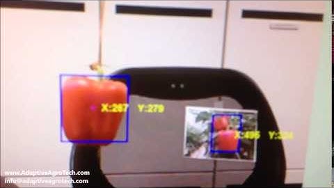 Robust Fruit Detection