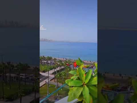 و ساعات روقاني يغيظ    اغاني إسكندرية  