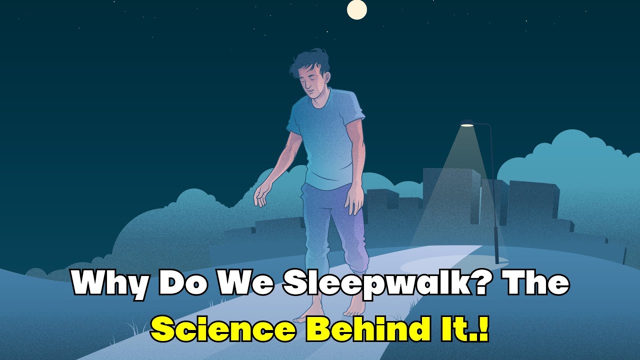 Why Do We Sleepwalk The Science Behind It YouTube Why do we sleepwalk the science behind it youtube