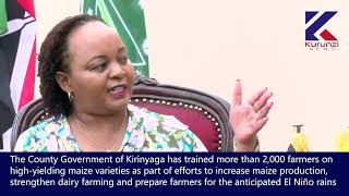 MORE THAN 2000 MAIZE FARMERS TRAINED ON HIGH-YIELDING MAIZE VARIETIES IN KIRINYAGA COUNTY