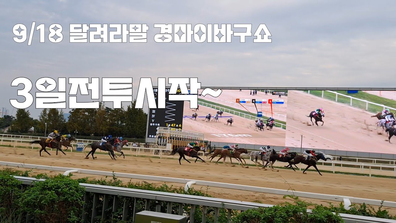 경마에 초치면 될것도 안되요!(금요경마 붙으러 들어가면서 이바구쇼)