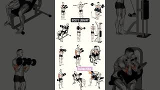 The Ultimate Bicep Workout Library(dumbbell bicep workout)#shorts#viral#motivation#gym#fitness
