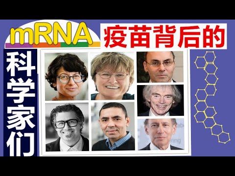 辉瑞是美国还是德国疫苗 ？| mRNA疫苗谁研发的？| 宾大科学家卡塔林的故事 | 德国夫妇创建 BioNTech | 加拿大生物学家的贡献 | 何时能获诺贝尔奖 | Katalin Kariko