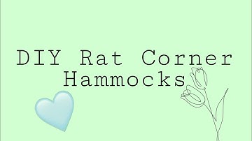 DIY Easy Rat Corner Hammock