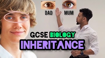 Science Raps: GCSE Biology - Inheritance