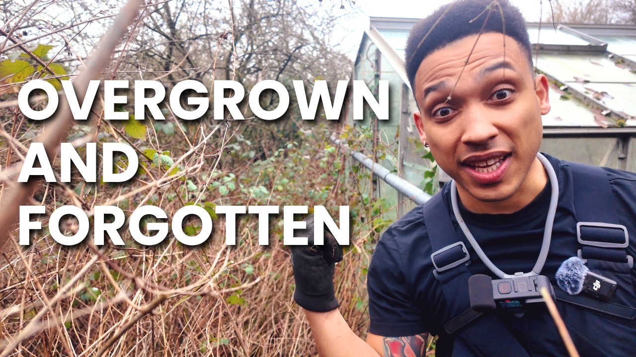 Clearing the Overgrown Corner | Allotment Day 4