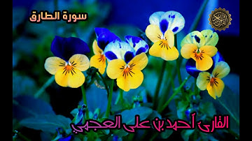 سورة الطارق - القارئ أحمد بن على العجمي