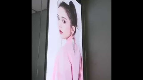 Double transparent lcd screen