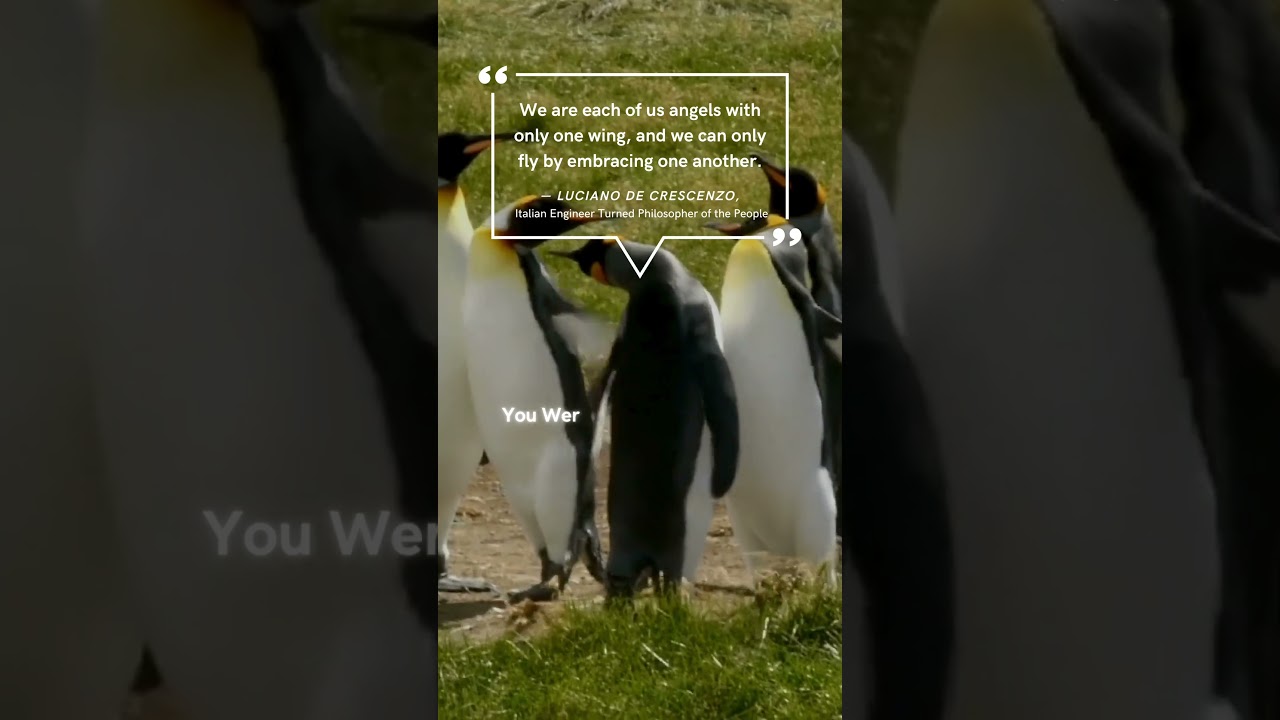 This One Line Will Change How You See Support