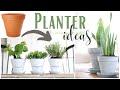 Planter Ideas ~ Cement Pots ~ Terracotta Pots ~ Aging Terracotta Pots ~ Herb Planters