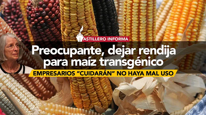Riesgos e insuficiencias en nuevo decreto sobre ma...