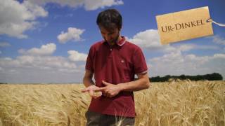 Pantique Ursprünglich Geniessen