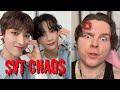 SEVENTEEN being Annoying gives me Life | Seventeen Reaction