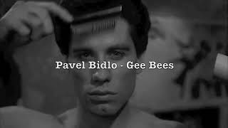 Pavel Bidlo - Gee Bees