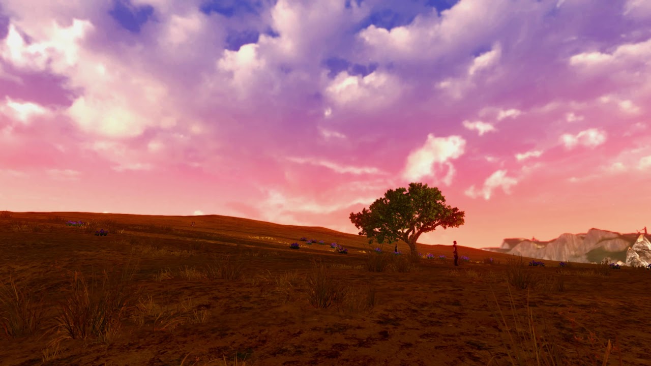 Archeage Unchained - Single Tree Pink Skies Background