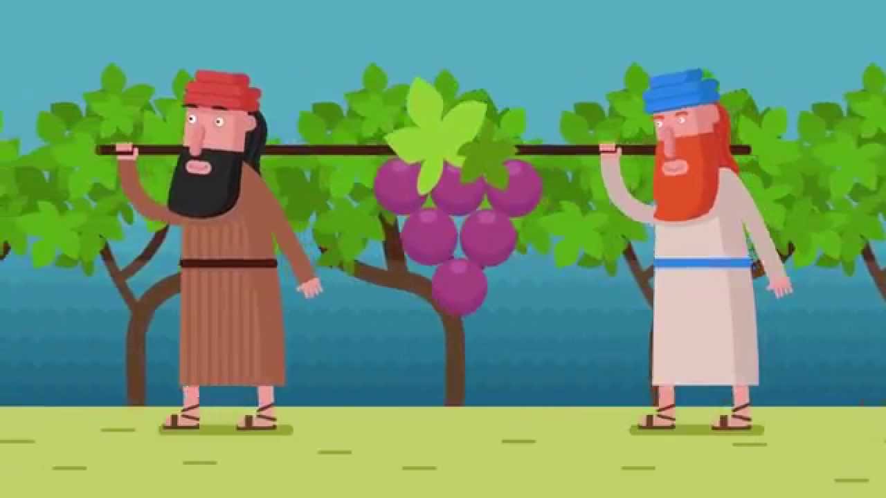 The Search for King David's Wine An evening of Biblical discoveries