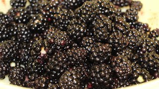 BEST HOME MADE APPLE RASPBERRY JELLY/SIMPLE AND EASY RECIPE TO FOLLOW / CHERYLS HOME COOKING