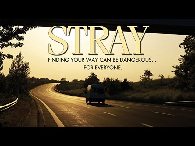 Stray (2016) | Thriller Movie | Serial Killer Movie | Full Movie class=