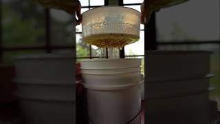 200 Micron Honey Filter Rendering Leftover Wax Soon