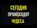 СЕГОДНЯ ПРИШЁЛ КОНЕЦ ВАШИМ БЕДАМ, Вы будете спасены!