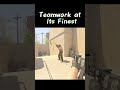 CS2: Teamwork at Its Finest #cs2funny