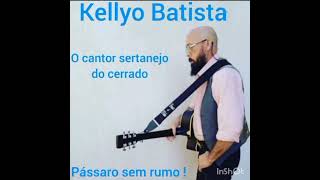 Pássaro Sem Rumo Kellyo Batista O Cantor Sertanejo Do Cerrado