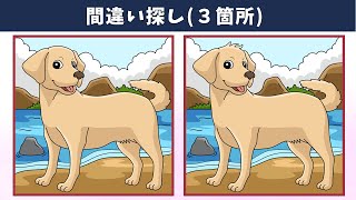 картинка: Найдите 3 отличия | Иллюстрация Версия #1089