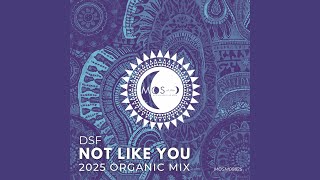 DSF - Not Like You (2025 Organic Extended Mix)