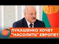 Месть Европе? Как Лукашенко наживается на мигрантах — ICTV