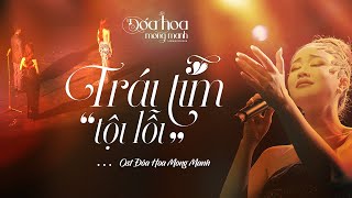 TRÁI TIM TỘI LỖI - MAYA | OST ĐÓA HOA MONG MANH