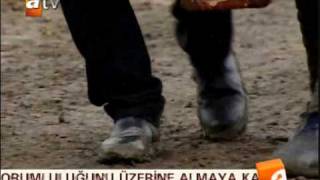 Zarife & Alex (Elveda Rumeli) - Mutlu Olmak Istiyorum