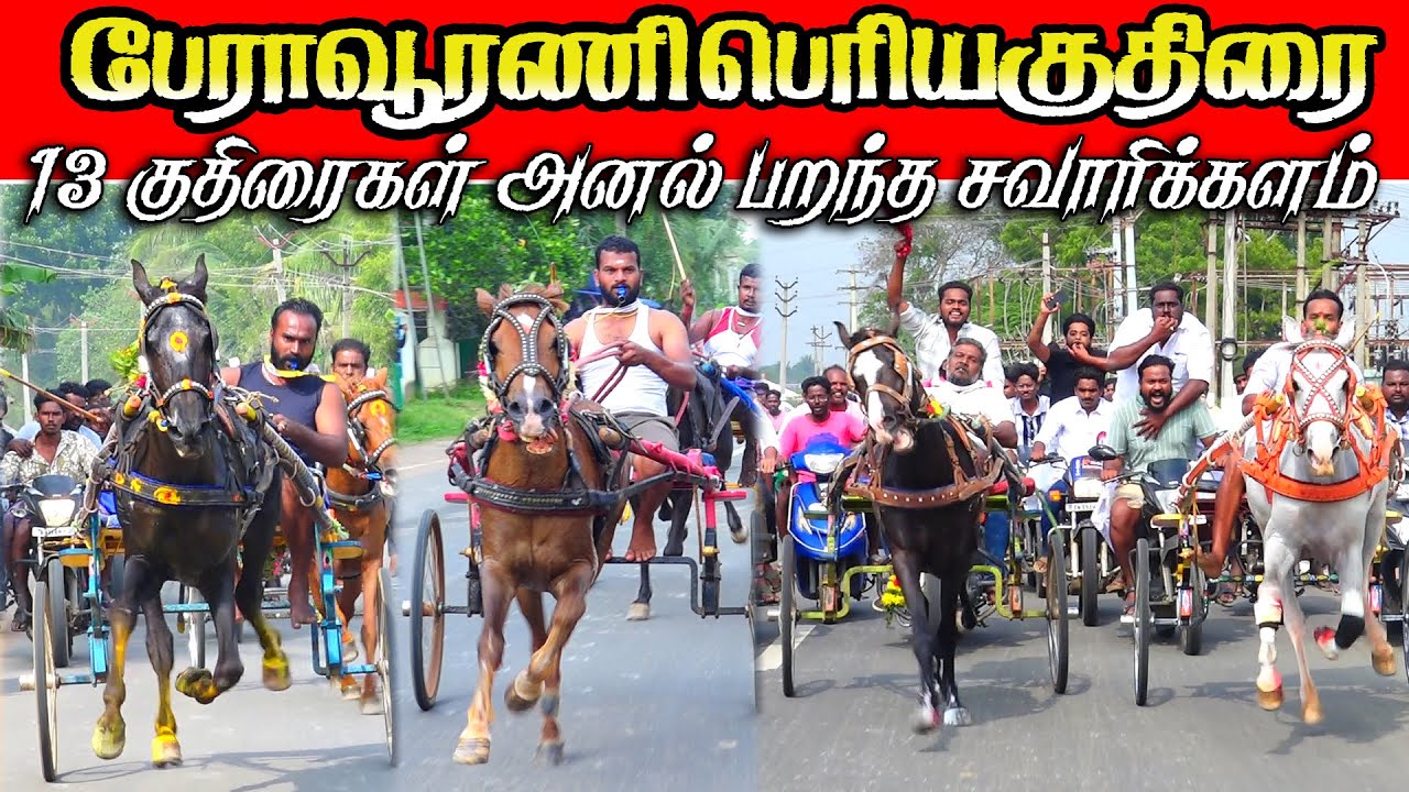 பேராவூரணி பெரியகுதிரை 27.01.2026 #ksk_rekla_race