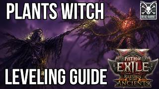 Campaign Leveling Guide for my 0.5 Plants Witch League Starter - POE2 Build Guide