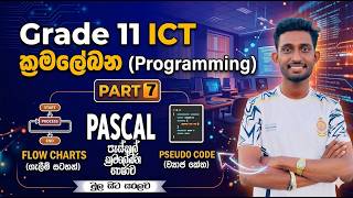 PASCAL ICT Grade 11 Lesson 1: Programming ක්‍රමලේඛන | English & Sinhala | Part 7