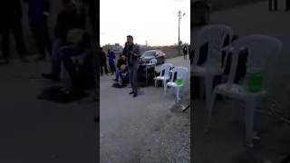 Dogan Serhed Patpori Kurtce Resimi