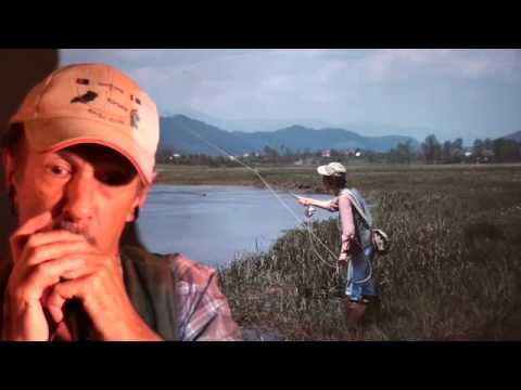 Die Forelle / The Trout