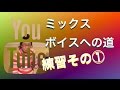 ミックスボイスとは②感覚的練習方法 副鼻腔への響き